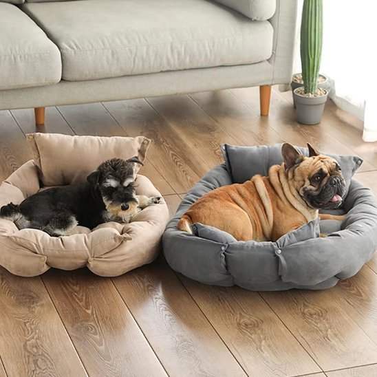 Coussin chien | Orthopédique Confort