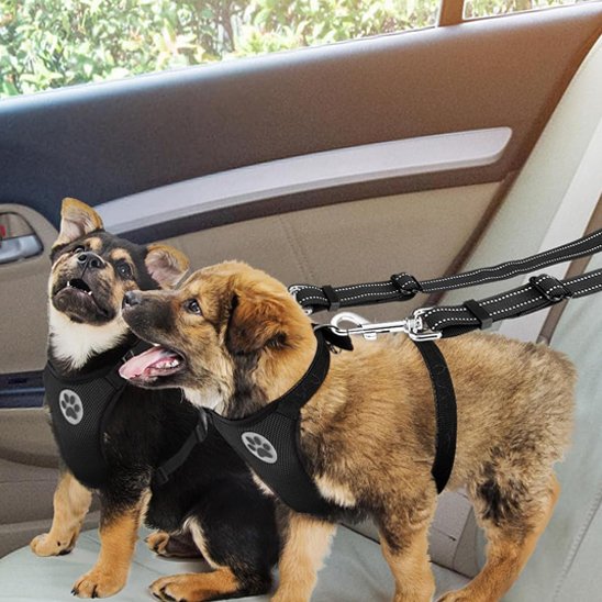 Double laisse pour chien | Duo Polyvalent