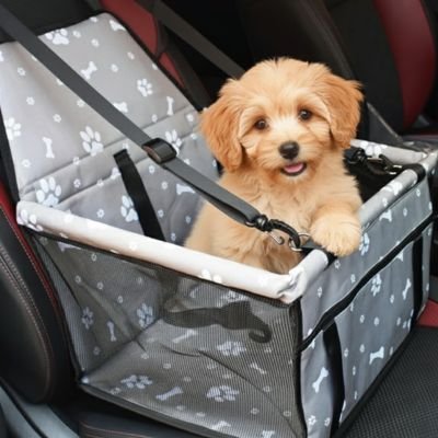 Siege auto pour chien | Sécurité Premium