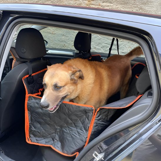 Protection voiture chien | Chien Quilted Premium
