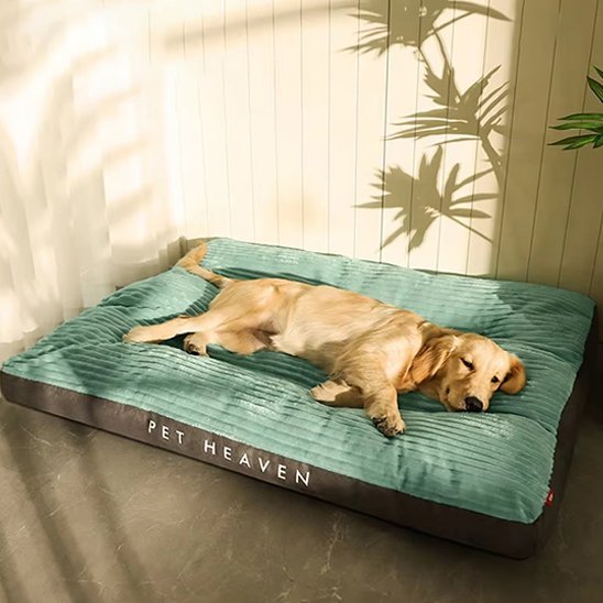 Coussin chien | Ultra-confortable