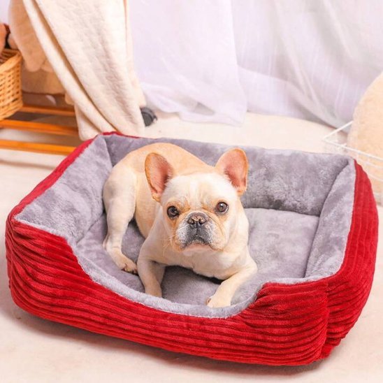 Panier pour chien | DreamNap