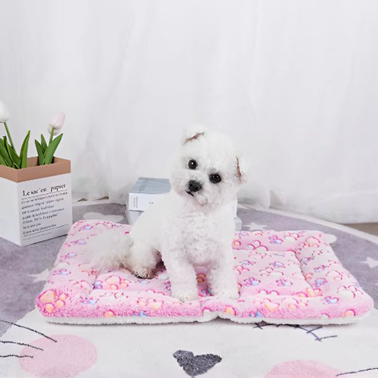 Tapis pour chien | Literie premium pour chiens