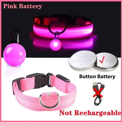 Collier lumineux pour chien | SafeNight