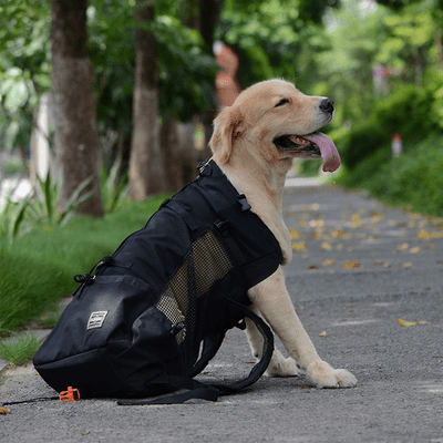 Sac à Dos pour Chien -  NomadeDog - Noir