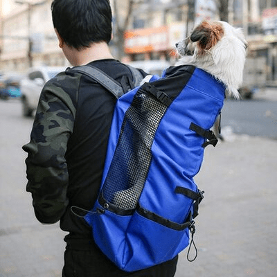 Sac à Dos pour Chien - NomadeDog - Bleu