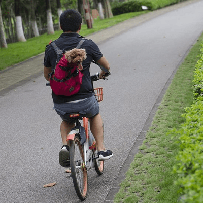 Sac à Dos pour Chien - NomadeDog - Rouge