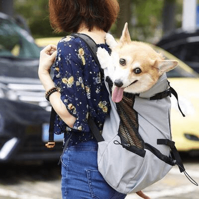 Sac à Dos pour Chien - NomadeDog - Gris