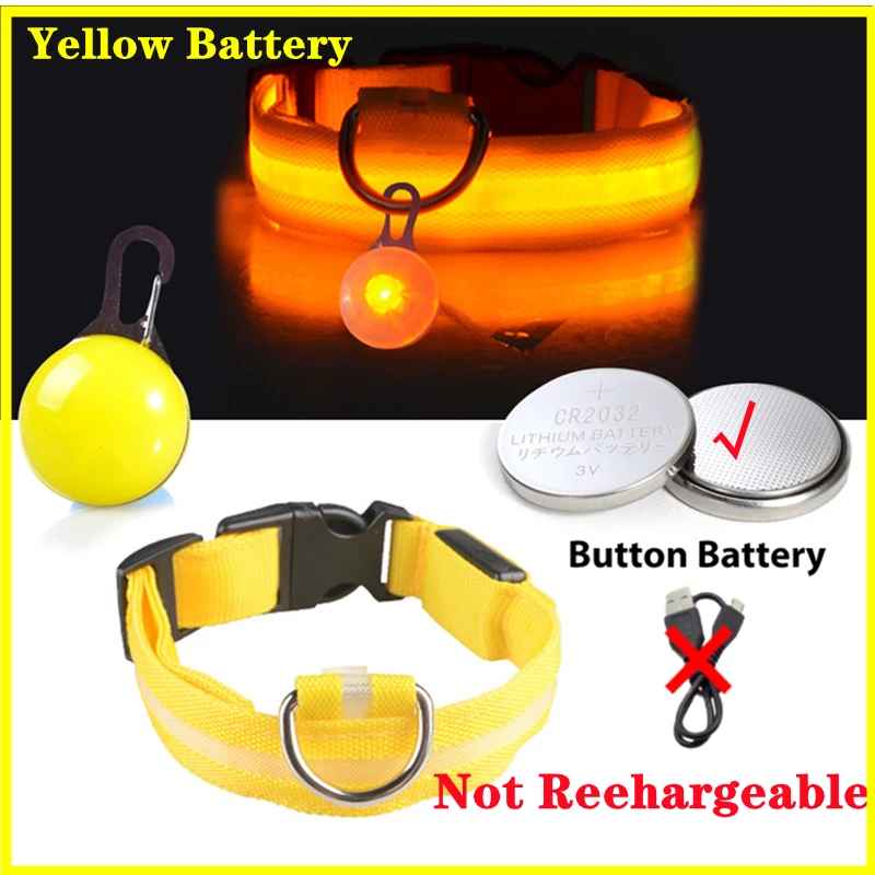 Collier lumineux pour chien | SafeNight