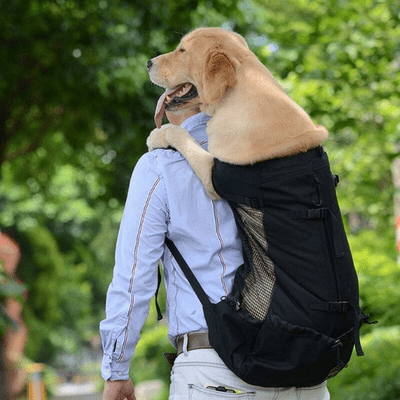 Sac à Dos pour Chien -  NomadeDog - Noir