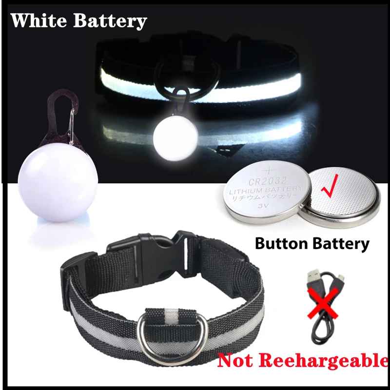 Collier lumineux pour chien | SafeNight