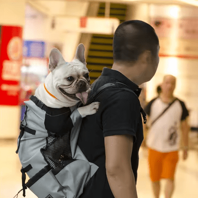 Sac à Dos pour Chien - NomadeDog - Gris