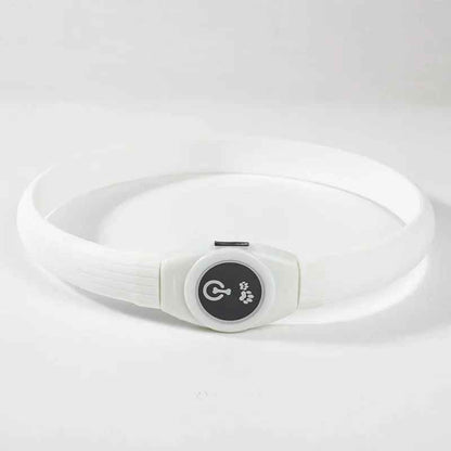 Collier lumineux chien | Collier LED Sécurité Nocturne pour Chien