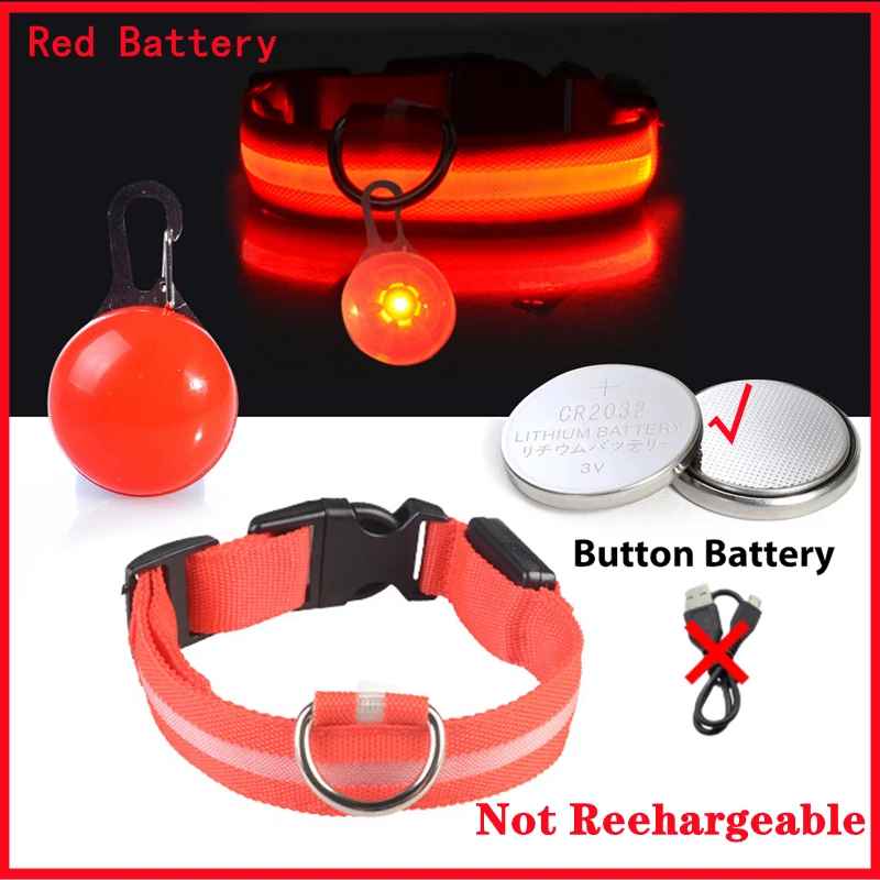 Collier lumineux pour chien | SafeNight