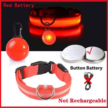 Collier lumineux pour chien | SafeNight