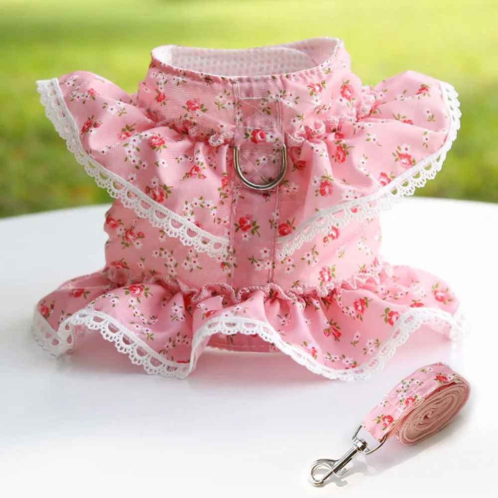 Harnais petit Chien | Collerette Volants Dentelle