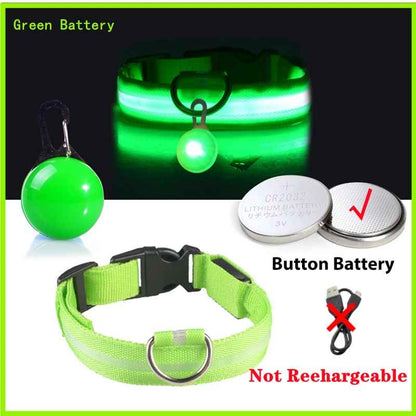 Collier lumineux pour chien | SafeNight