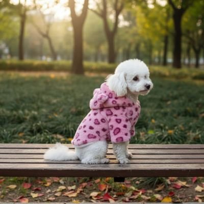 Manteau Chien