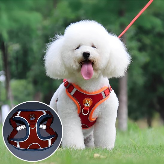 Harnais pour chien | CozyWalk Harnais