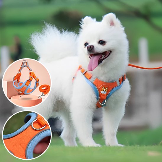Harnais pour chien | CozyWalk Harnais