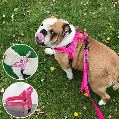 Harnais pour chien | Harnais QuickClip