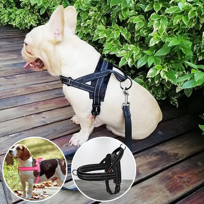Harnais pour chien | Harnais QuickClip