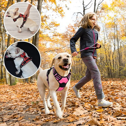 Harnais pour chien | SafeWalk Nocture Harnais