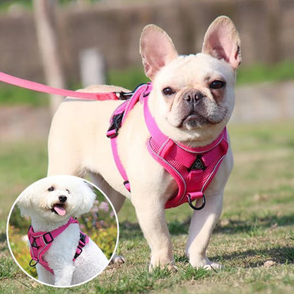 Harnais pour chien | Harnais Harmonie