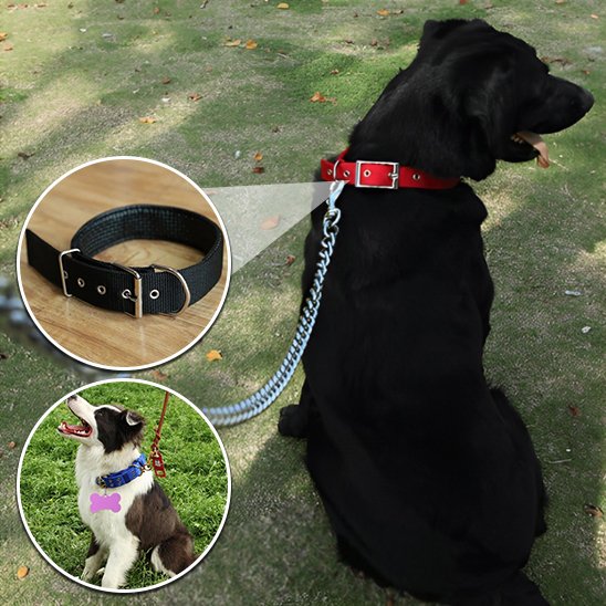 Collier pour chien | Collier Premium Confort