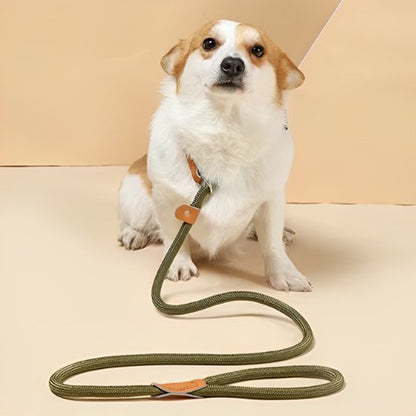 Laisse chien | Laisse Chien Élégante