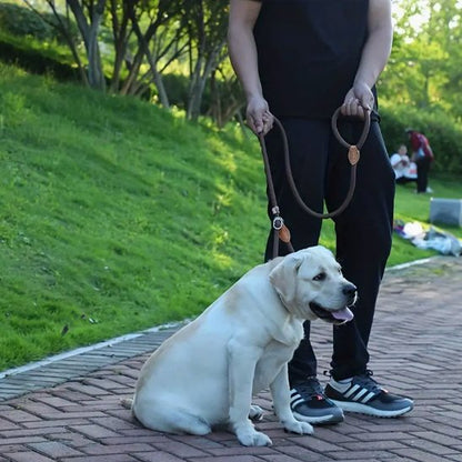Laisse chien | Laisse Chien Élégante
