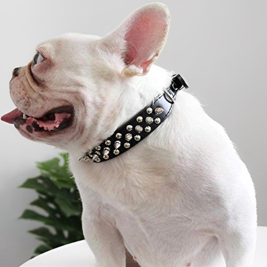 Collier pour Chien Robuste et Ajustable | Collier Rebel Chien