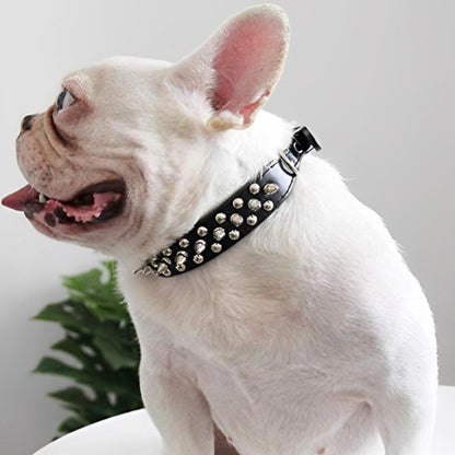 Collier pour Chien Robuste et Ajustable | Collier Rebel Chien
