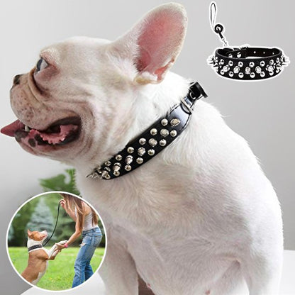 Collier pour Chien Robuste et Ajustable | Collier Rebel Chien