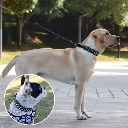 Collier pour Chien Robuste et Ajustable | Collier Rebel Chien