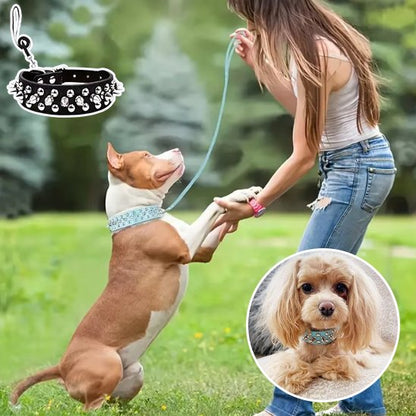 Collier pour Chien Robuste et Ajustable | Collier Rebel Chien