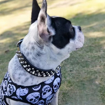Collier pour Chien Robuste et Ajustable | Collier Rebel Chien