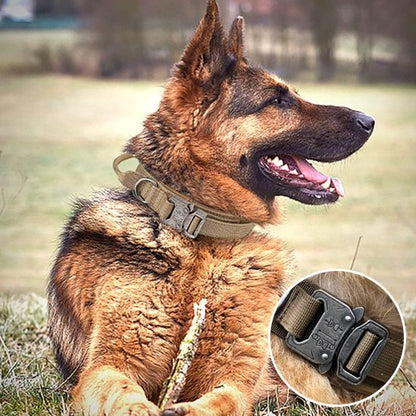 Collier pour chien | Collier Tactique Militaire