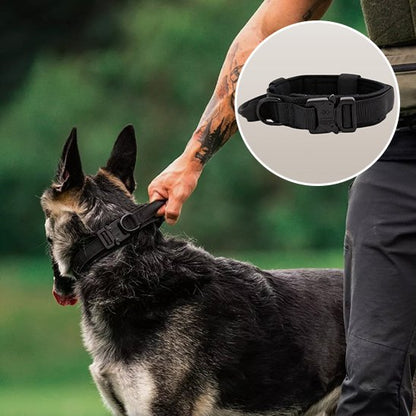 Collier pour chien | Collier Tactique Militaire