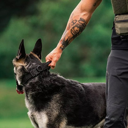 Collier pour chien | Collier Tactique Militaire