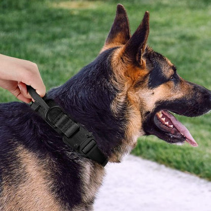 Collier pour chien | Collier Tactique Militaire