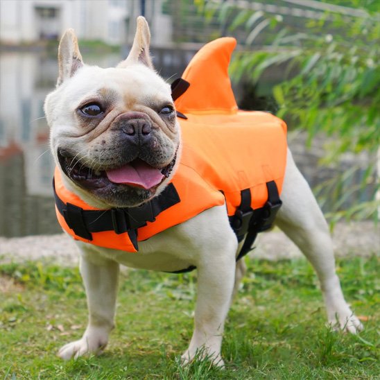 Gilet de sauvetage chien | Nautipro