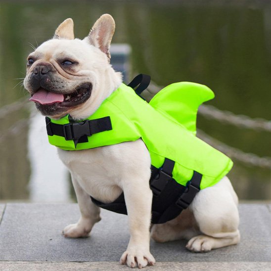 Gilet de sauvetage chien | Nautipro