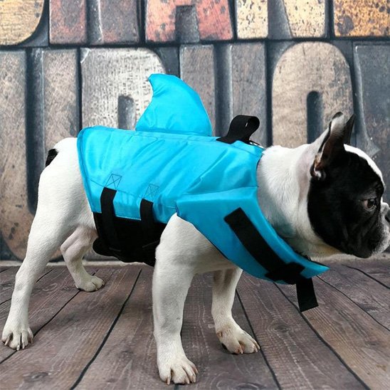 Gilet de sauvetage chien | Nautipro