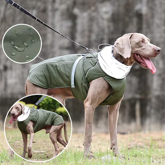 Manteau pour chien | CozyGuard Pro