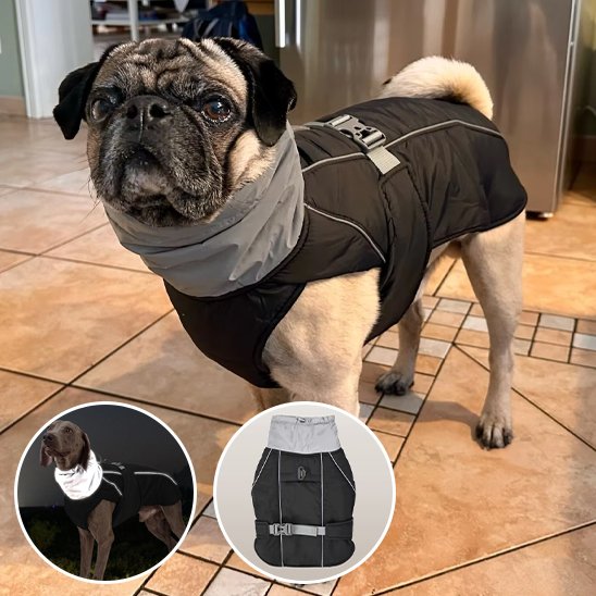 Manteau pour chien | CozyGuard Pro