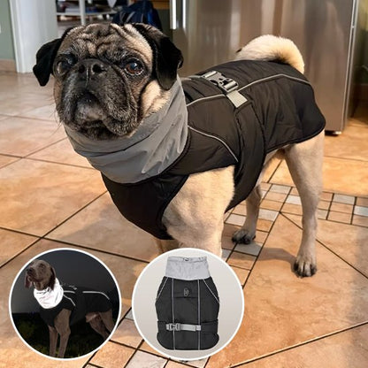 Manteau pour chien | CozyGuard Pro