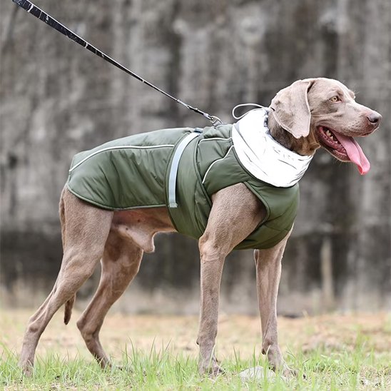 Manteau pour chien | CozyGuard Pro