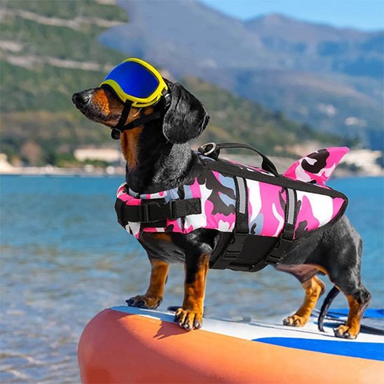 Gilet de sauvetage chien | Nautisecure