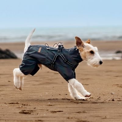 Imperméable pour chien | Imperméable Chien Léger